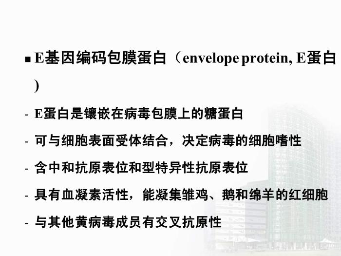 【醫學PPT課件】第29章 蟲媒病毒 醫學微生物學教學課件第10頁