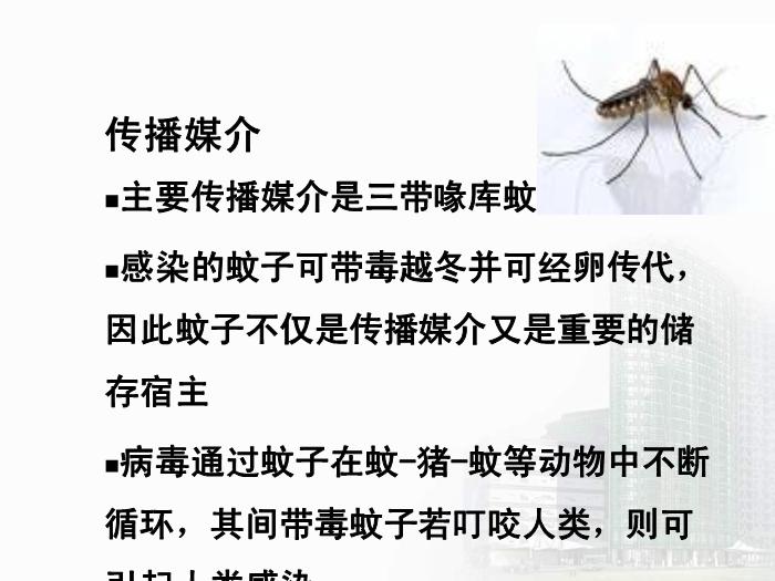【醫學PPT課件】第29章 蟲媒病毒 醫學微生物學教學課件第15頁