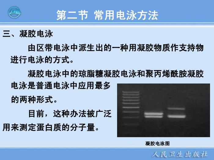 【醫學PPT課件】電泳技術和常用電泳儀 臨床檢驗儀器學第11頁