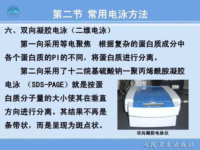 【醫學PPT課件】電泳技術和常用電泳儀 臨床檢驗儀器學第15頁