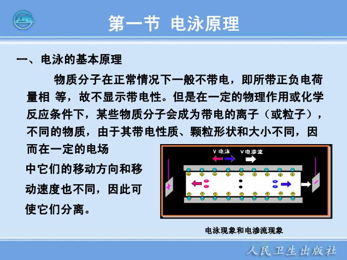 【醫學PPT課件】電泳技術和常用電泳儀 臨床檢驗儀器學第6頁