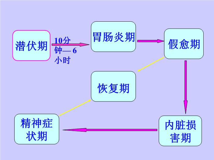 【醫學PPT課件】毒蕈中毒-懷化醫專檢驗系 主講：劉立亞-PPT課件第6頁