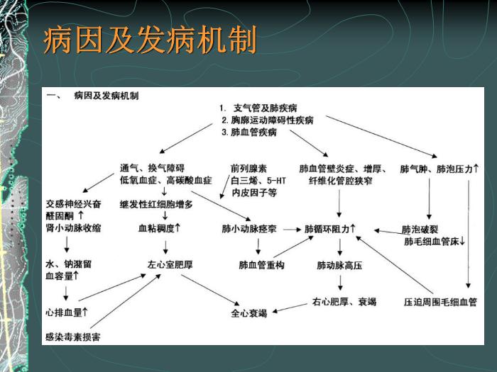 【醫學PPT課件】容中生-慢性肺源性心臟病-PPT課件預覽圖（3）