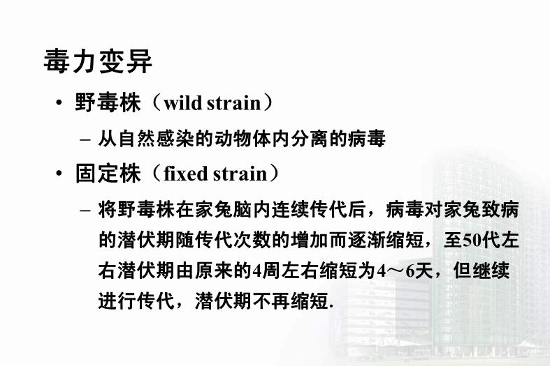 【醫學PPT課件】第33章 其他病毒 醫學微生物學教學課件第11頁