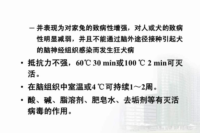 【醫學PPT課件】第33章 其他病毒 醫學微生物學教學課件第12頁