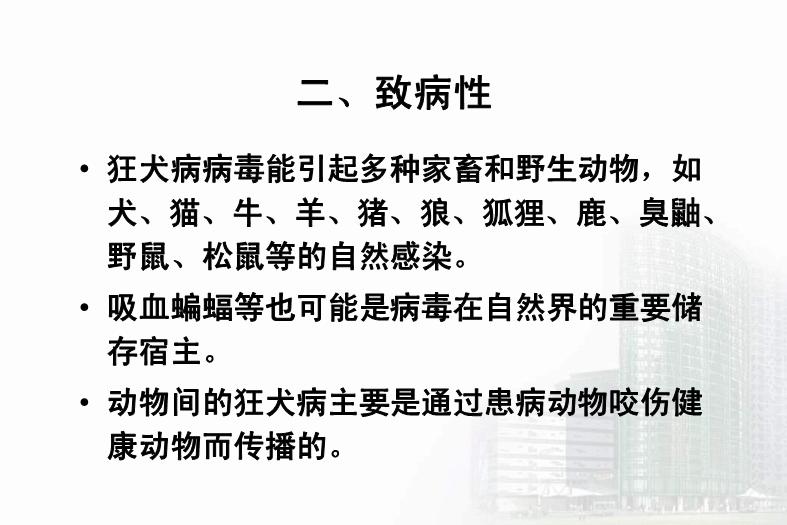 【醫學PPT課件】第33章 其他病毒 醫學微生物學教學課件第13頁