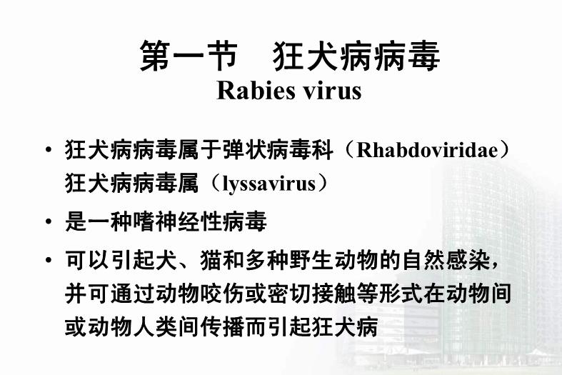 【醫學PPT課件】第33章 其他病毒 醫學微生物學教學課件第4頁