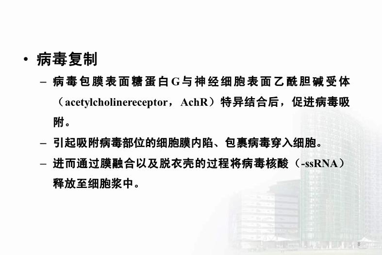 【醫學PPT課件】第33章 其他病毒 醫學微生物學教學課件第8頁