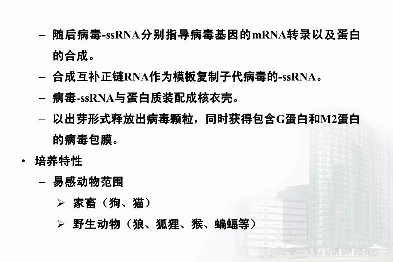 【醫學PPT課件】第33章 其他病毒 醫學微生物學教學課件第9頁