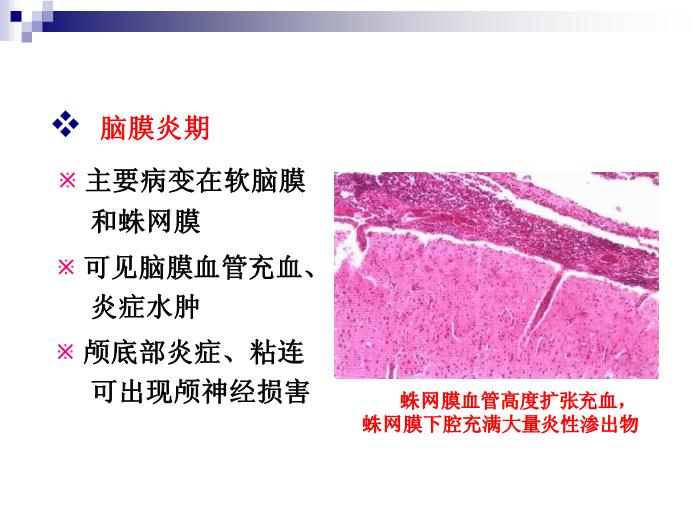 【醫學PPT課件】流行性腦脊髓膜炎 人衛版傳染病學教學課件第12頁
