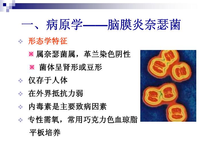 【醫學PPT課件】流行性腦脊髓膜炎 人衛版傳染病學教學課件第5頁