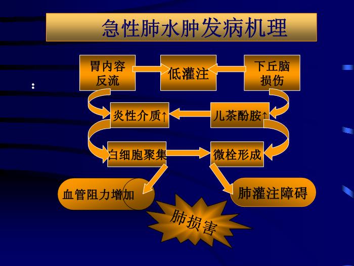 【醫學PPT課件】急性顱腦損傷并發癥和圍術期處理 北京天壇醫院第6頁