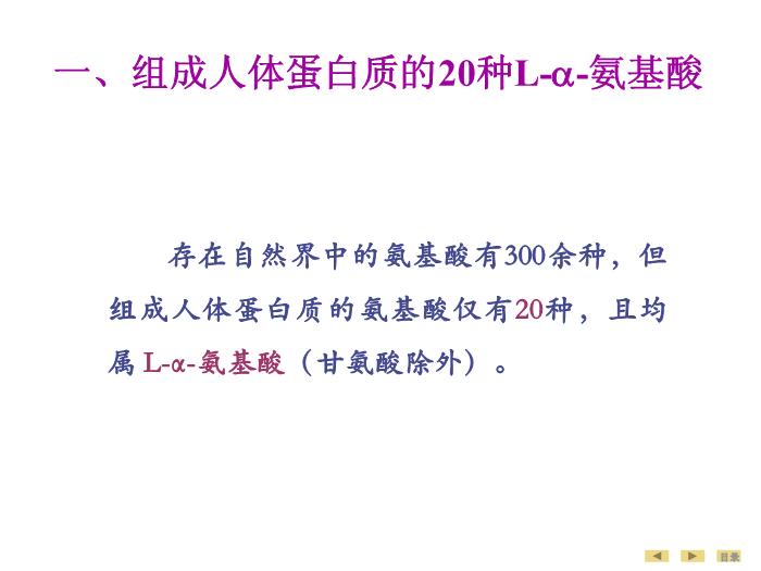 【醫學PPT課件】蛋白質的結構與功能 生物化學與分子生物學第11頁
