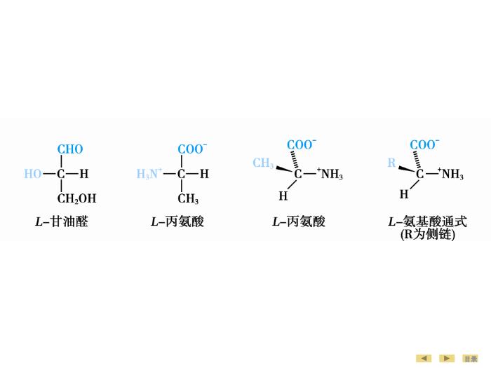 【醫學PPT課件】蛋白質的結構與功能 生物化學與分子生物學第12頁