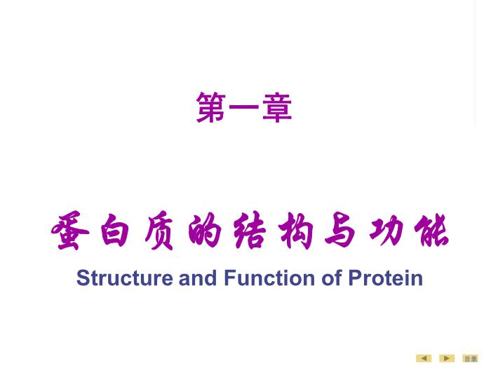 【醫學PPT課件】蛋白質的結構與功能 生物化學與分子生物學第2頁