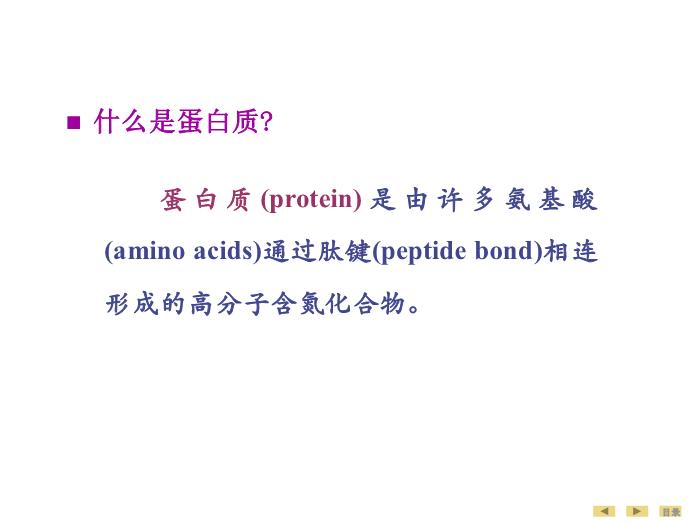 【醫學PPT課件】蛋白質的結構與功能 生物化學與分子生物學第3頁