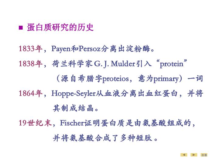 【醫學PPT課件】蛋白質的結構與功能 生物化學與分子生物學第4頁