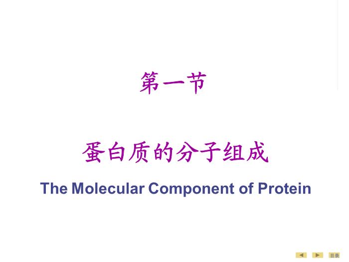 【醫學PPT課件】蛋白質的結構與功能 生物化學與分子生物學第6頁