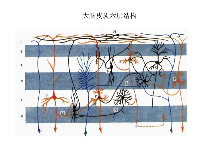 【醫學PPT課件】端腦-27頁精美圖片幻燈片第10頁