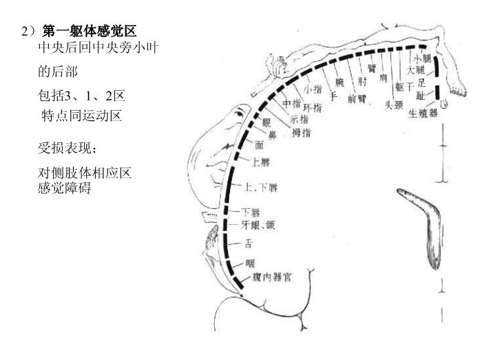 【醫學PPT課件】端腦-27頁精美圖片幻燈片第13頁