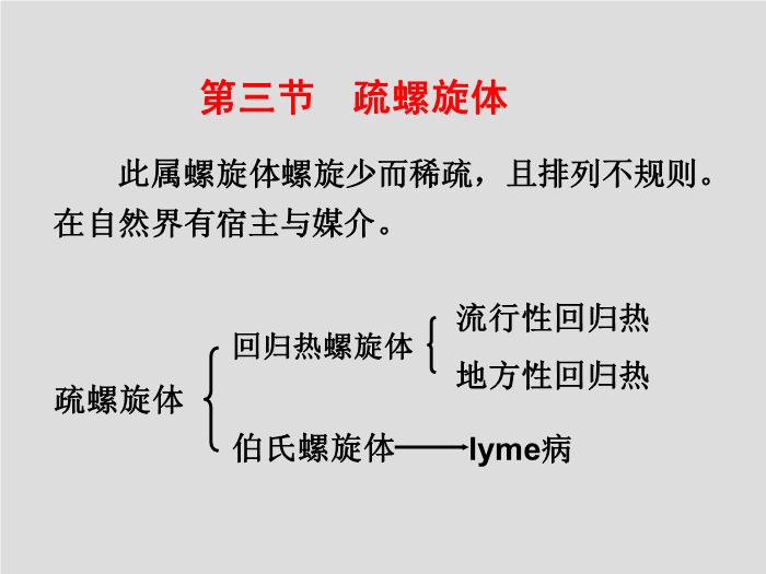【醫學PPT課件】螺旋體 第三軍醫大學  汪正清第11頁
