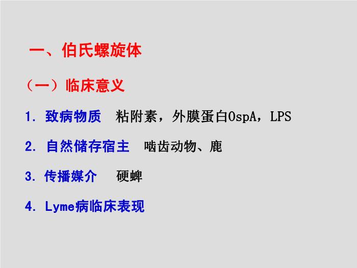 【醫學PPT課件】螺旋體 第三軍醫大學  汪正清第12頁