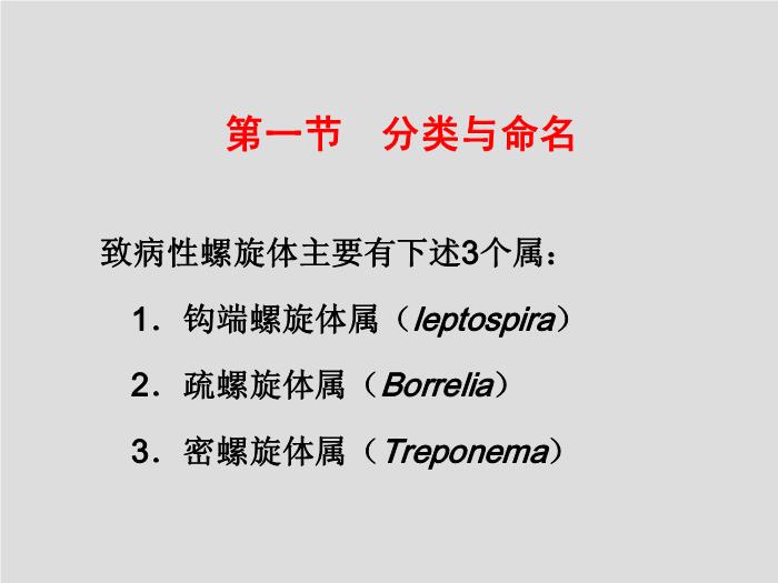 【醫學PPT課件】螺旋體 第三軍醫大學  汪正清第3頁