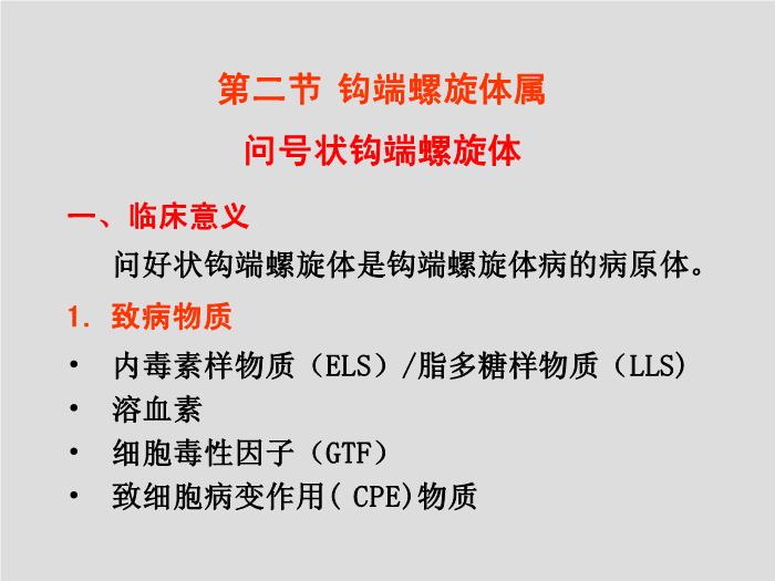 【醫學PPT課件】螺旋體 第三軍醫大學  汪正清第4頁