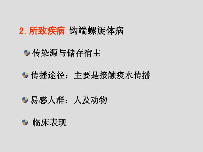 【醫學PPT課件】螺旋體 第三軍醫大學  汪正清第5頁