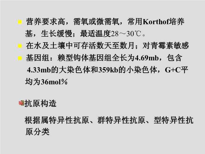 【醫學PPT課件】螺旋體 第三軍醫大學  汪正清第7頁