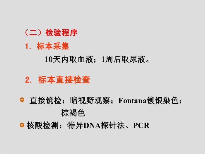 【醫學PPT課件】螺旋體 第三軍醫大學  汪正清第8頁