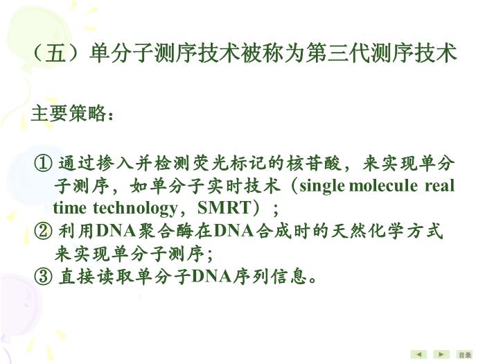 【醫學PPT課件】基因結構與功能分析技術 生物化學與分子生物學第12頁