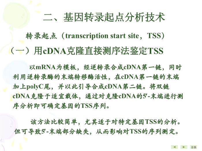 【醫學PPT課件】基因結構與功能分析技術 生物化學與分子生物學第13頁