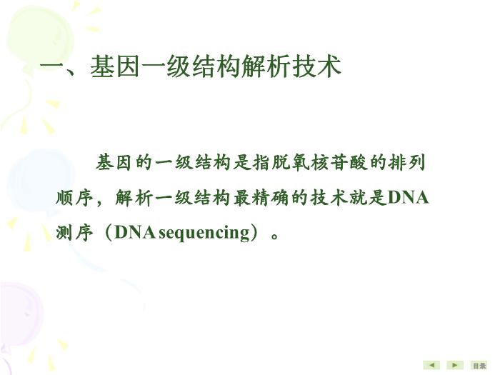 【醫學PPT課件】基因結構與功能分析技術 生物化學與分子生物學第5頁