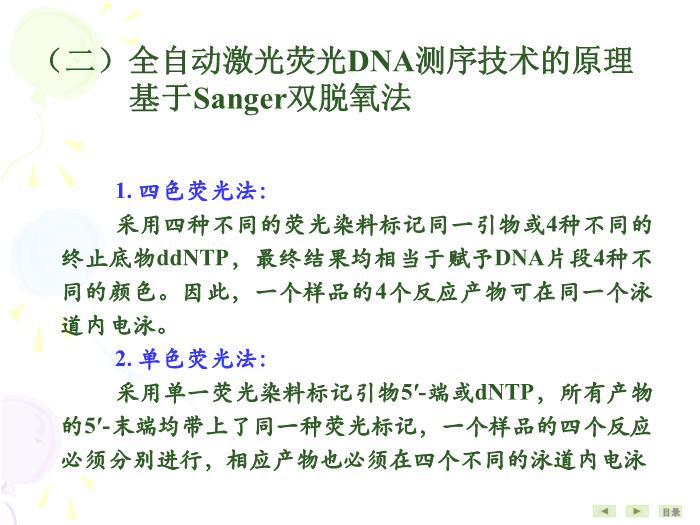 【醫學PPT課件】基因結構與功能分析技術 生物化學與分子生物學第8頁