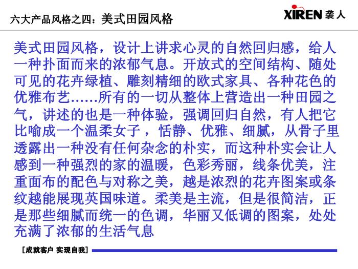 2010孚日研發風格PPT22第13頁