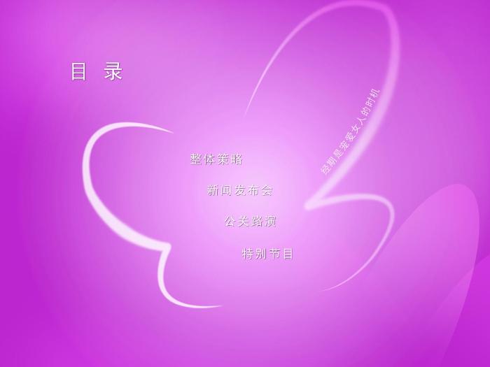 2010年潔婷品牌傳播推廣案 (1)第2頁