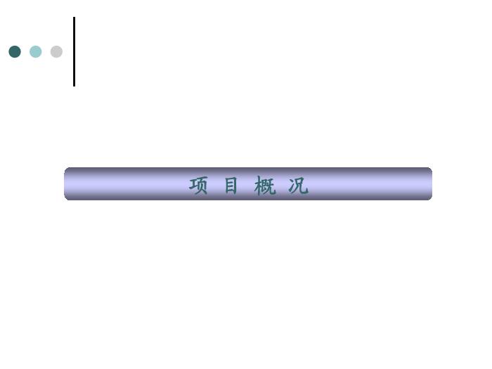2010_中糧萬科長陽半島項目分析報告第3頁
