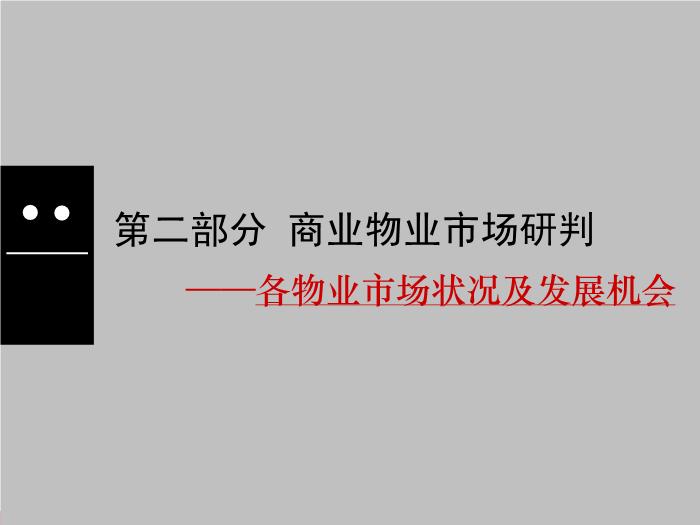 2010年世聯順德大良保利中環廣場定位策劃第14頁