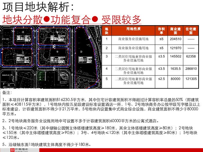 2010年世聯順德大良保利中環廣場定位策劃第4頁