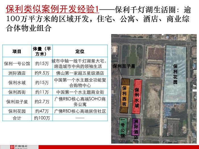 2010年世聯順德大良保利中環廣場定位策劃第9頁