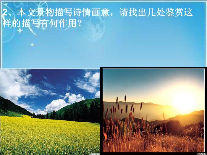2016粵教版語文選修第4課 在尋找“野敗”的日子 ppt課件2第12頁