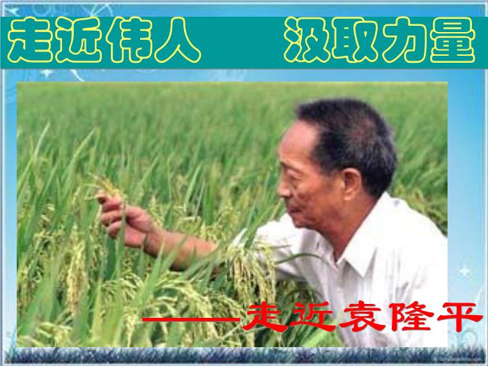 2016粵教版語文選修第4課 在尋找“野敗”的日子 ppt課件2第3頁