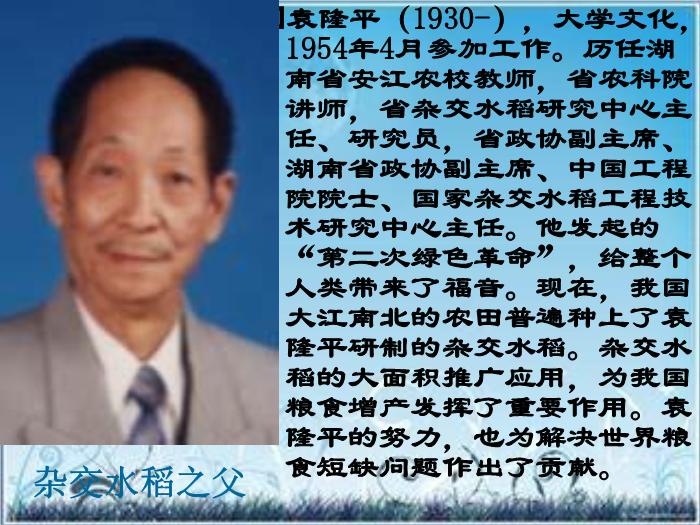 2016粵教版語文必修五第6課 喜看稻菽千重浪 ppt課件4第2頁