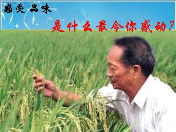 2016粵教版語文選修第4課 在尋找“野敗”的日子 ppt課件3第3頁