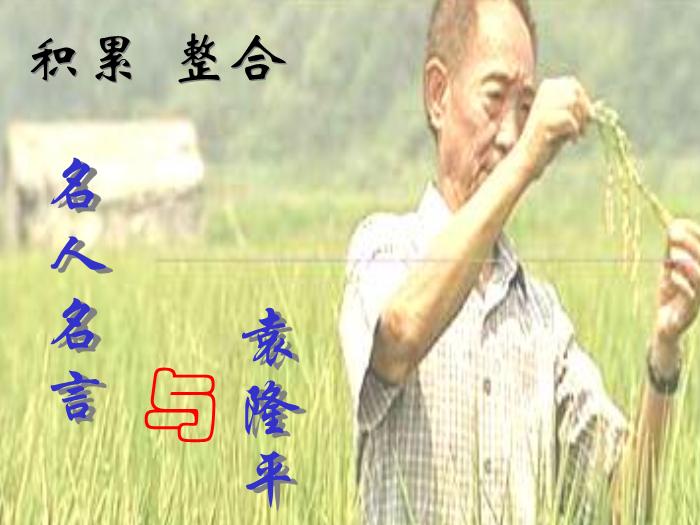 2016粵教版語文選修第4課 在尋找“野敗”的日子 ppt課件3第6頁