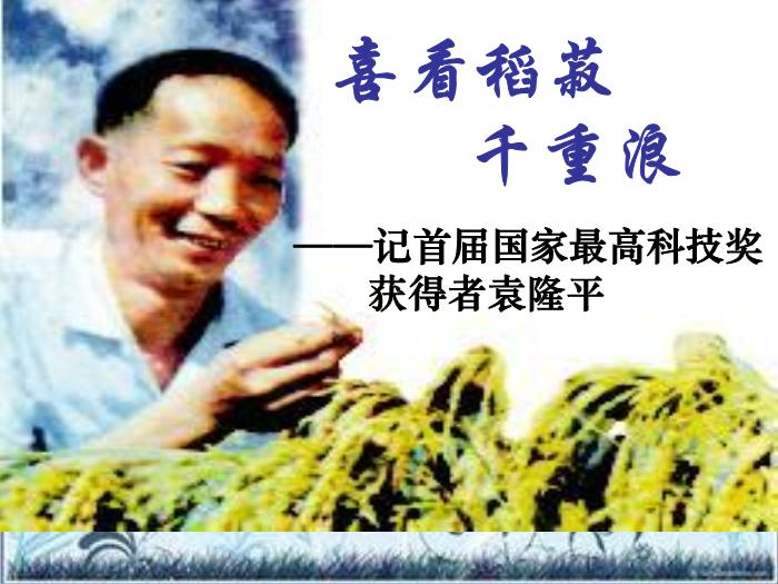 2016粵教版語文必修五第6課 喜看稻菽千重浪 ppt課件1第2頁