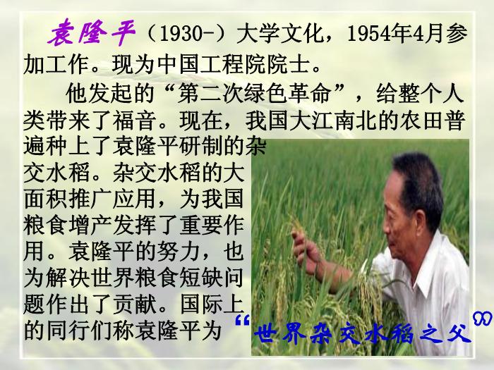 2016粵教版語文必修五第6課 喜看稻菽千重浪 ppt課件1第3頁