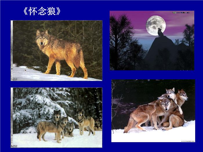 TOP30高中語文北師大版必修三3.10《秦腔》課件（共54張PPT）.ppt文檔免費在線閱讀第10頁