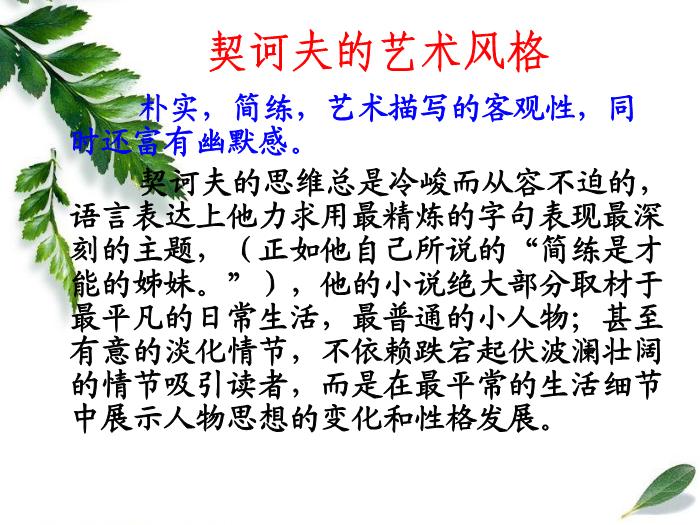 13《裝在套子里的人》教學課件文檔第4頁